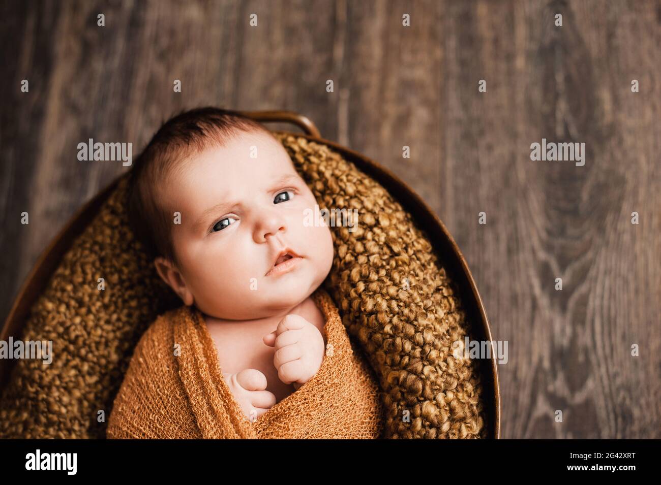 Nouveau-né bébé fille enveloppé dans une couverture tricotée marron regardant dans l'appareil photo Banque D'Images