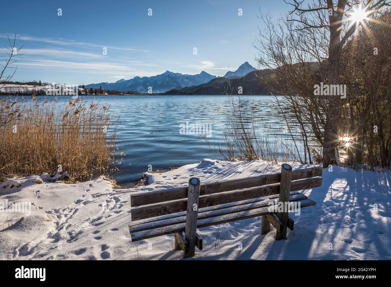 Lieu de repos à Weissensee près d'Oberkirch, Füssen, Allgäu, Bavière, Allemagne Banque D'Images