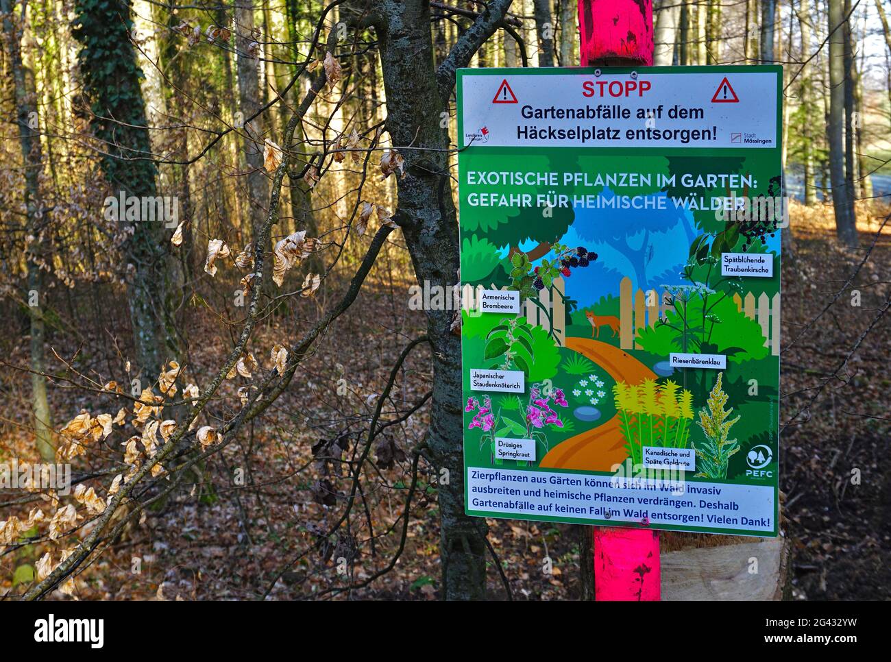 Arrêt, déchets de jardin, interdiction d'élimination des déchets de jardin dans la forêt Banque D'Images