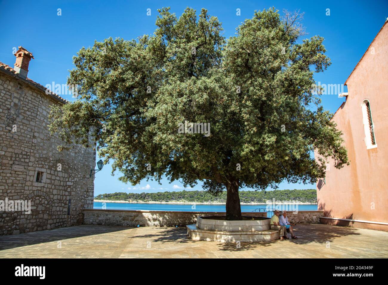 Personnes sur banc à l'ombre d'un immense arbre dans une cour intérieure de la vieille ville, Rab, Primorje-Gorski Kotar, Croatie, Europe Banque D'Images