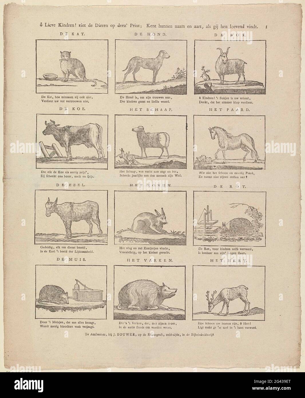 O Chers Enfants Les Animaux Voient Ils Sur Deez Print Connait Leur Nom Et rt Si Vous Les Aimez Feuille Avec 12 Representations D Animaux Comme Un Chat Un Chien Une Chevre Et Une
