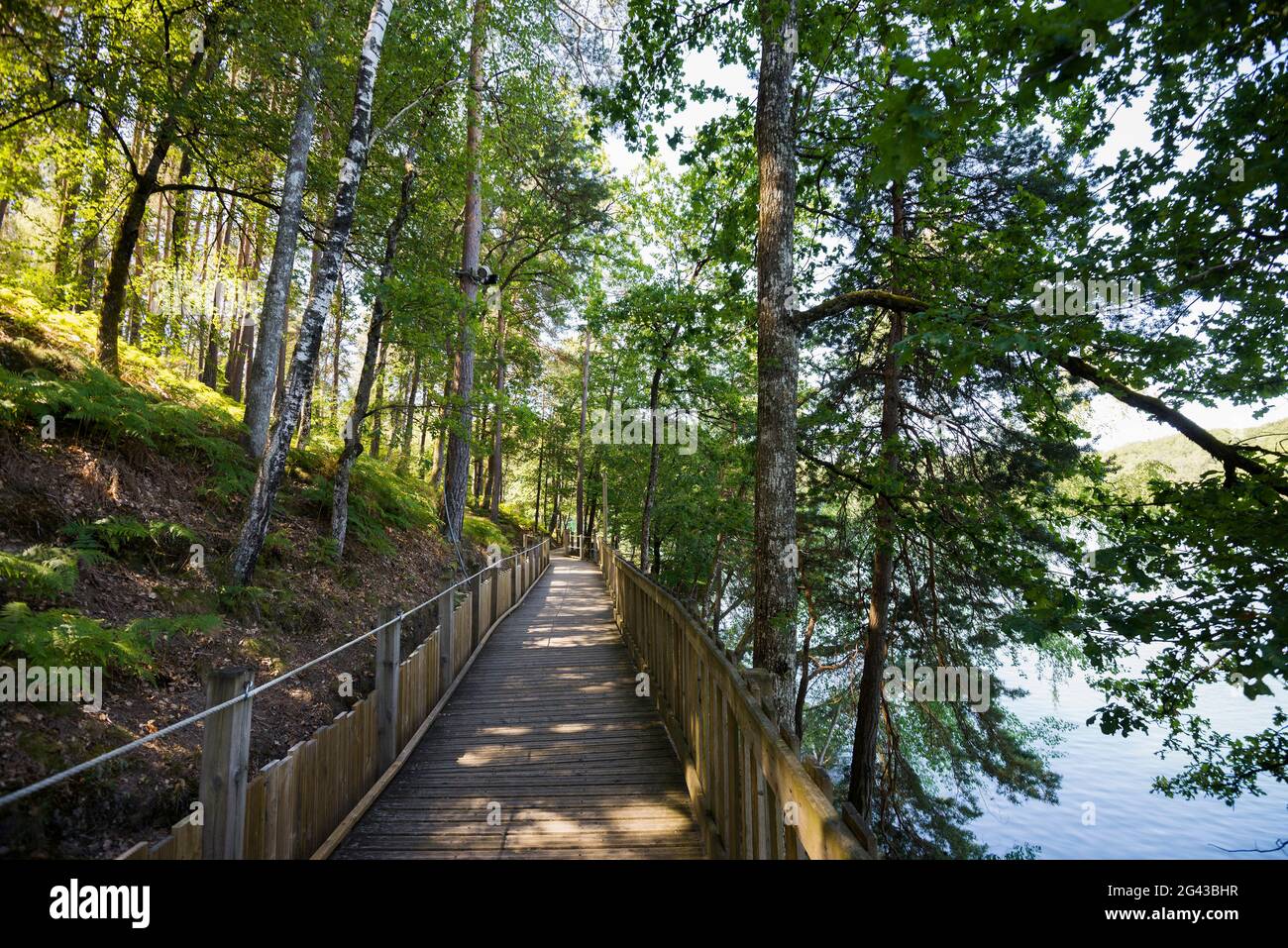 Tour Du Barrage De Saint étienne cantalès à Pied Sentier de randonnée, Lac de Saint-Etienne-Cantalès, près d'Aurillac,  département du Cantal, Auvergne-Rhône-Alpes, France Photo Stock - Alamy
