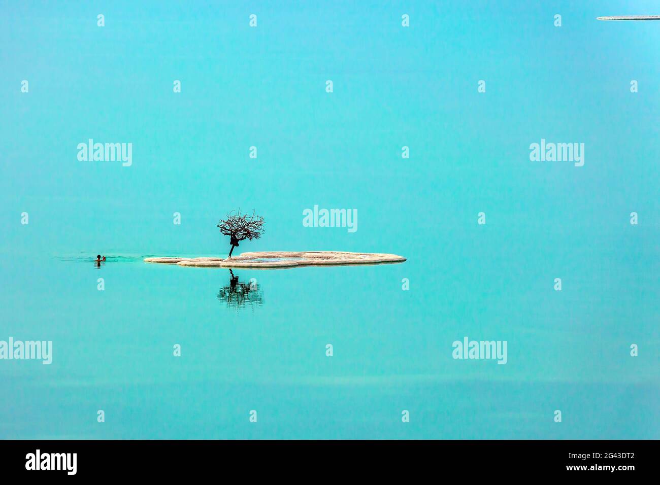 Petit îlot et arbre Banque D'Images