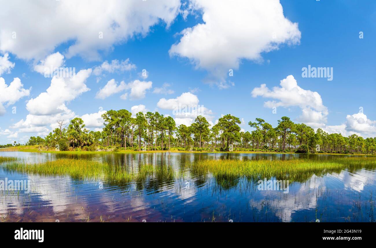 Webb Lake, Fred C. Babcock/Cecil M. Webb Wildlife Management Area, Punta Gorda, Floride, États-Unis Banque D'Images