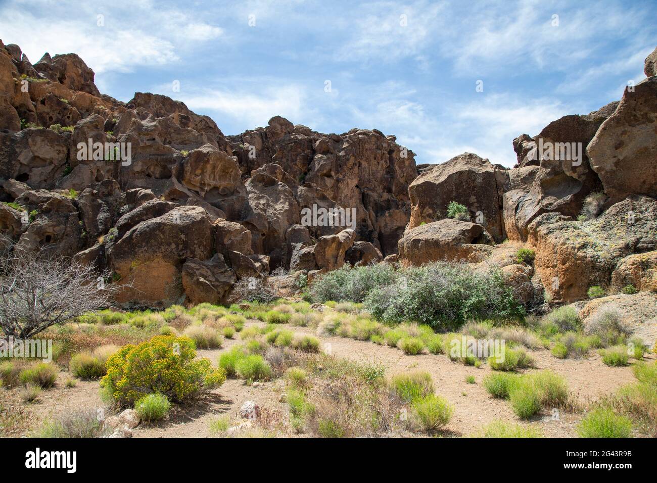 La piste de la boucle de anneaux dans la réserve nationale de Mojave. Banque D'Images