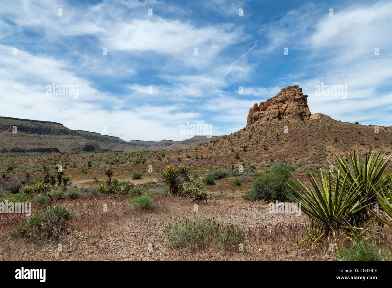 La piste de la boucle de anneaux dans la réserve nationale de Mojave. Banque D'Images
