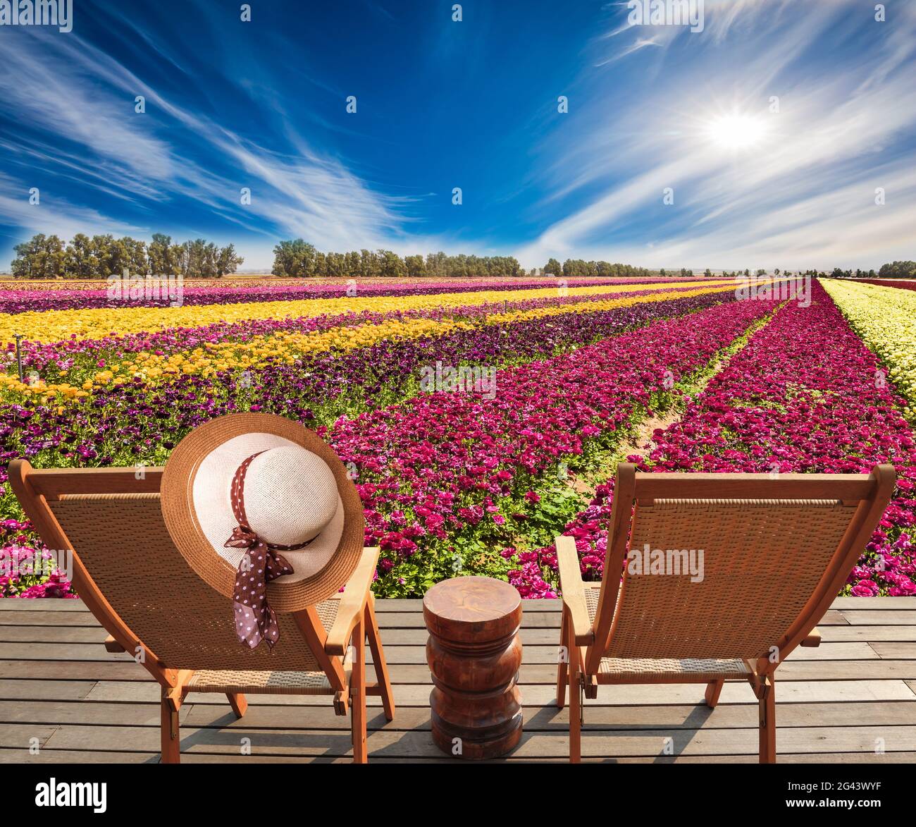 Chaises longues pliantes en bois Banque D'Images