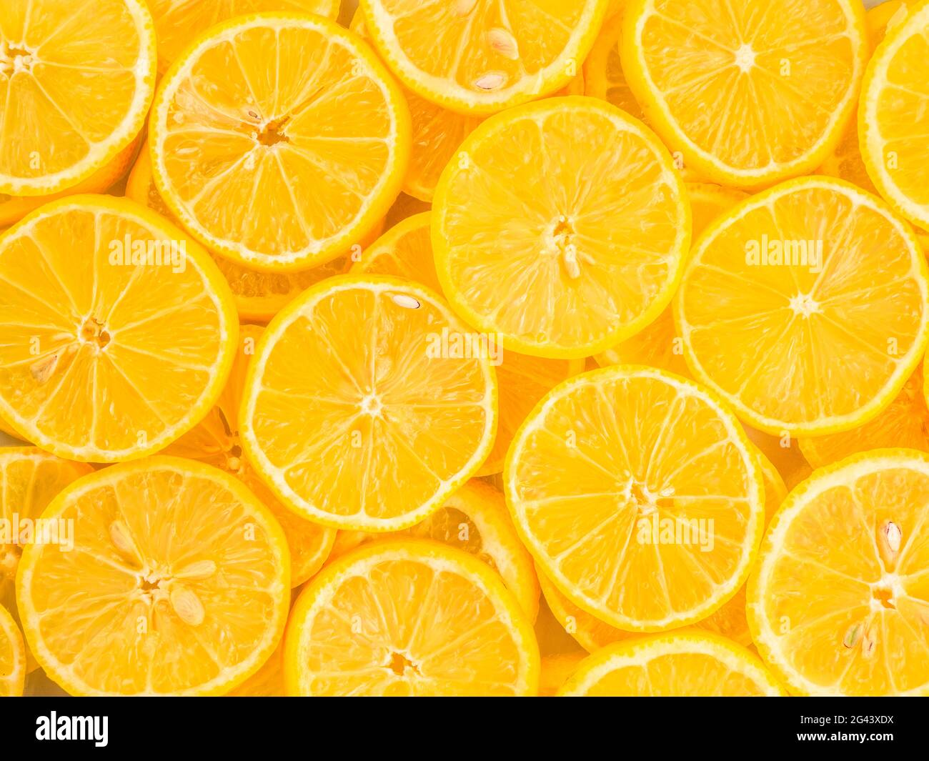 Cadre complet de citrons jaunes en tranches Banque D'Images