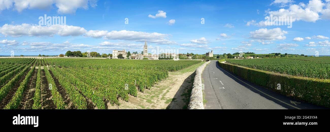Vignoble et route, Saint-Émilion, Gironde, Nouvelle-Aquitaine, France Banque D'Images
