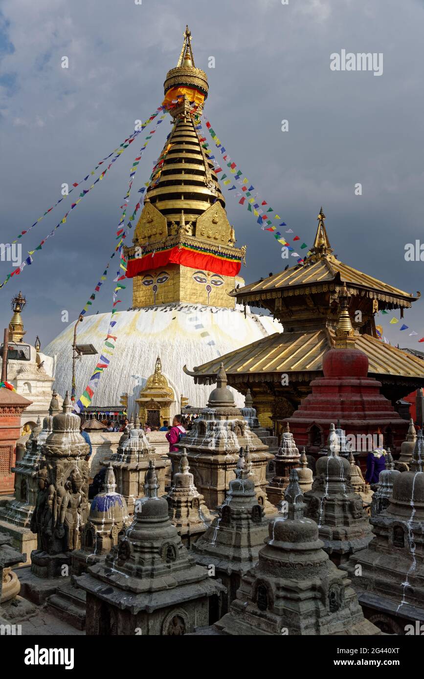 Swayambhunath stupa, Katmandou, Népal, Asie. Banque D'Images