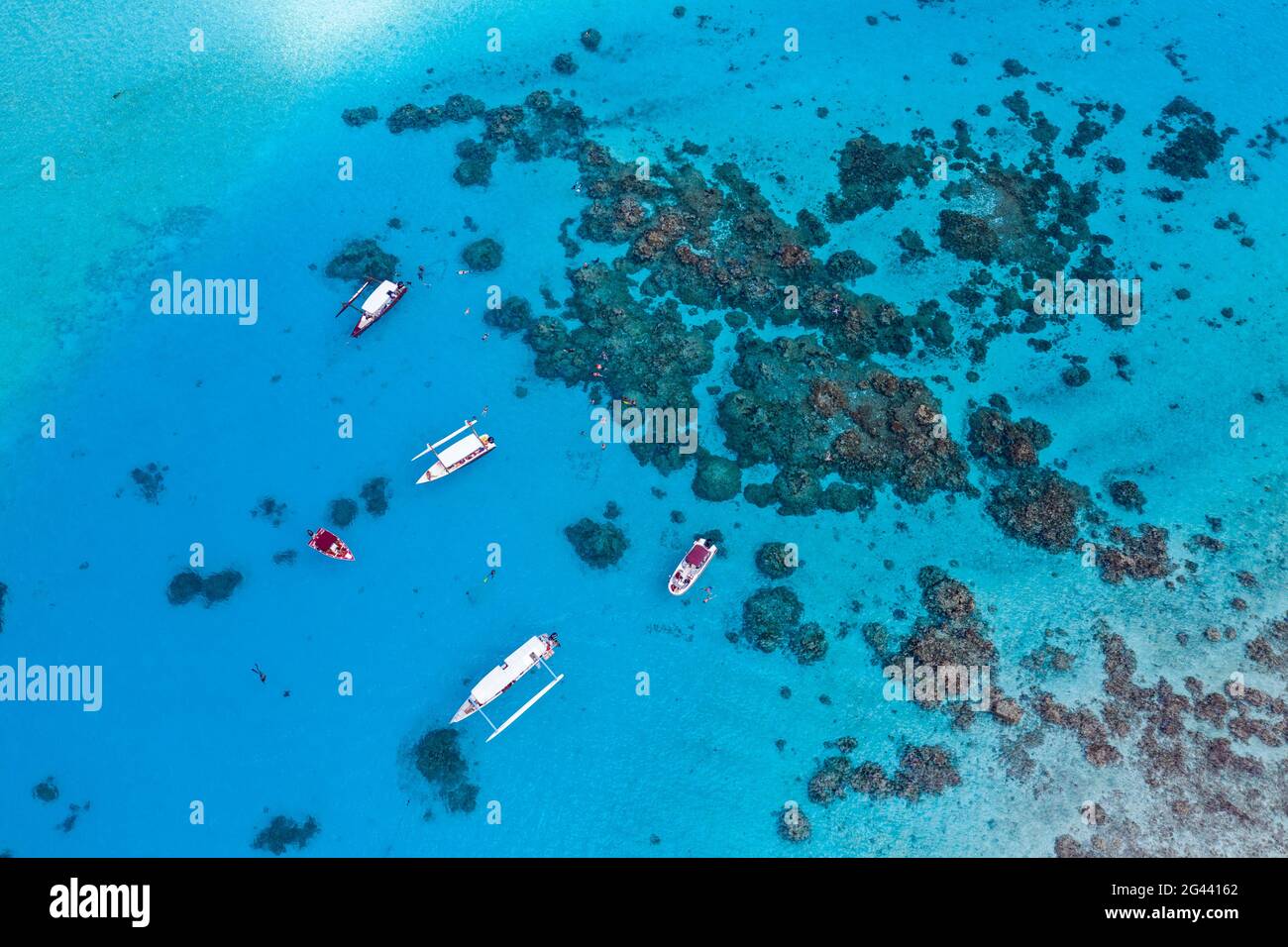 Vue aérienne des bateaux d'excursion lors de sorties avec masque et tuba dans le lagon de Bora Bora, Vaitape, Bora Bora, îles Leeward, Polynésie française, Pacifique Sud Banque D'Images