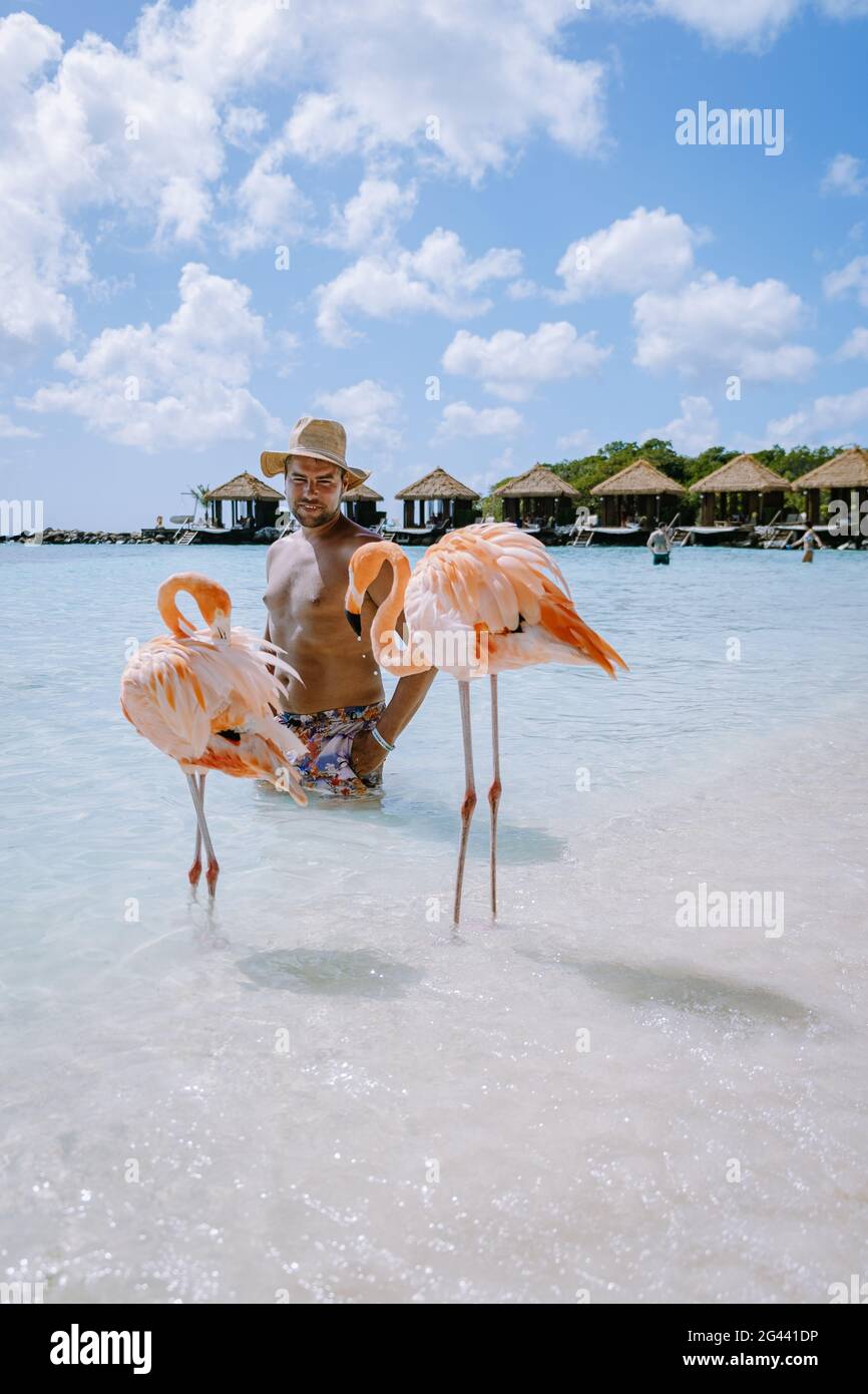 Plage d'Aruba avec flamants roses à la plage, flamants roses à la plage d'Aruba Island Caraïbes Banque D'Images