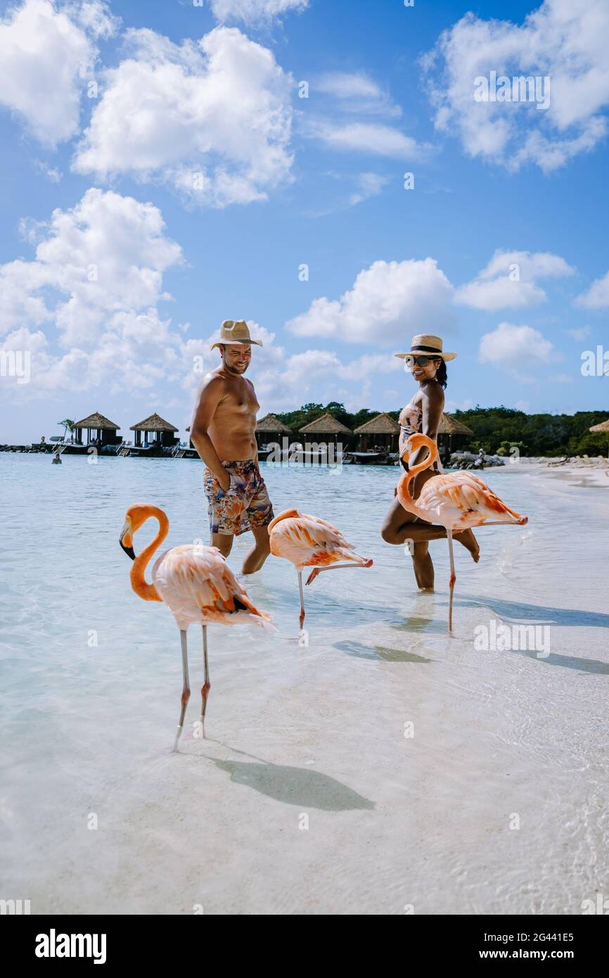 Plage d'Aruba avec flamants roses à la plage, flamants roses à la plage d'Aruba Island Caraïbes Banque D'Images