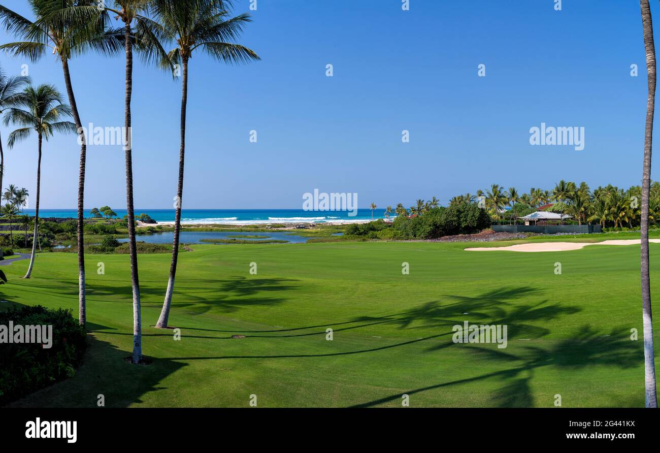 Paysage avec parcours de golf vert et palmiers, îles Hawaii, États-Unis Banque D'Images