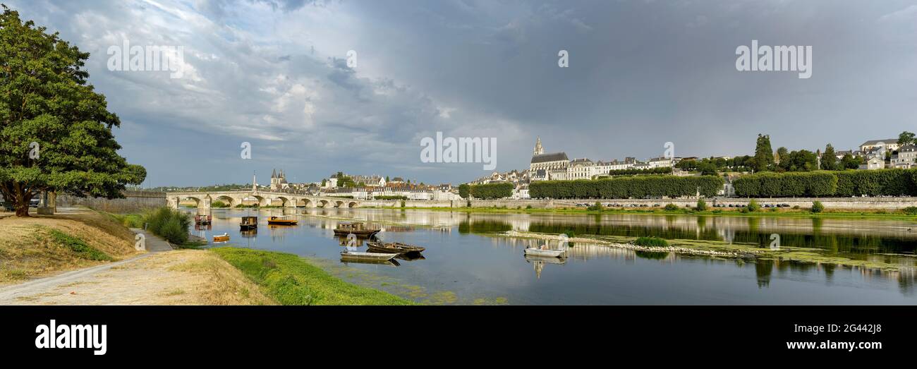 Cathédrale Saint Louis et pont sur la Loire, Blois, Vallée de la Loire, France Banque D'Images