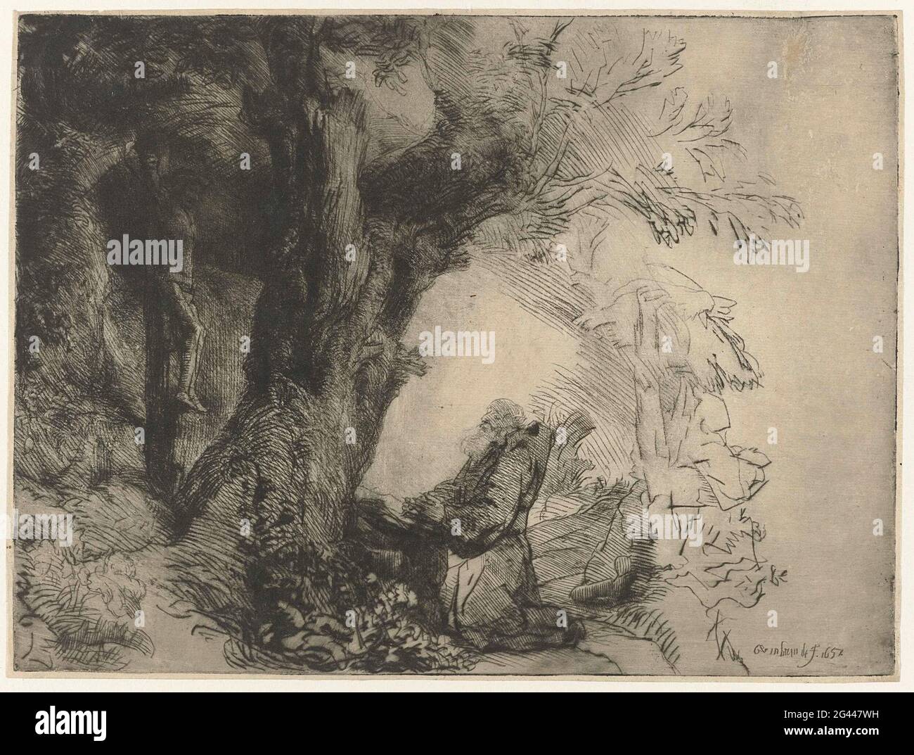 Saint François sous un arbre, priant. En dépeignant François, Rembrandt n'a pas choisi le moment traditionnel où le saint reçoit la ‘Stigmata’, les blessures du Christ, mais a plutôt représenté le saint qui priait juste avant cet événement extraordinaire.Ceci est une preuve inachevée impression exécutée en point sec. Seulement cinq impressions de cet état sont connues, toutes sur des types orientaux inhabituels de papier ou de vélin coûteux. Cette impression est imprimée sur du papier japonais jaune chaud. Banque D'Images