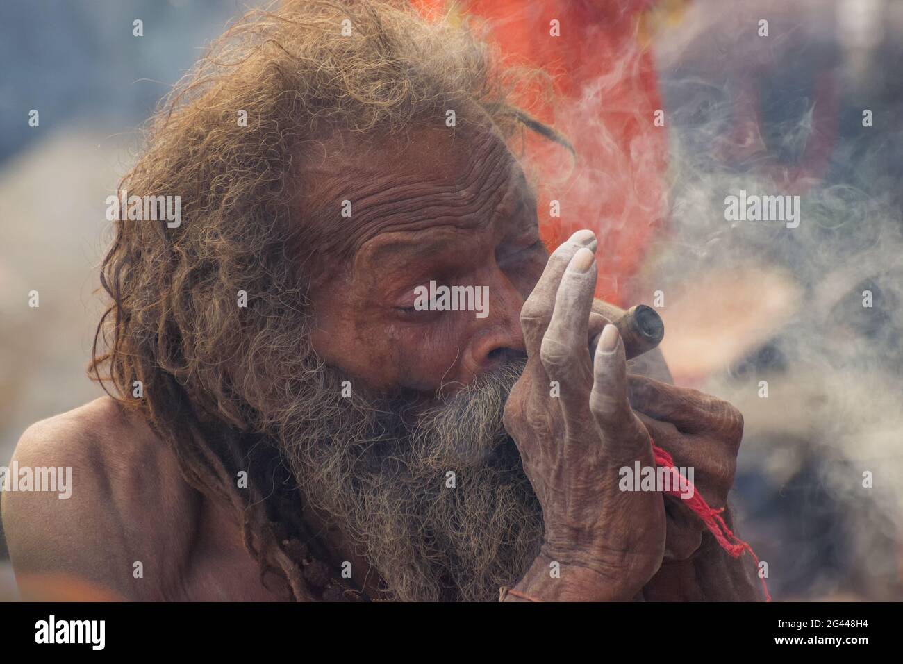 BABUGHAT, KOLKATA, BENGALE-OCCIDENTAL / INDE - 11 JANVIER 2015 : Hindu Sadhu fumer de la marijuana, localement appelé Ganja, une forme de canabis sativa . Banque D'Images