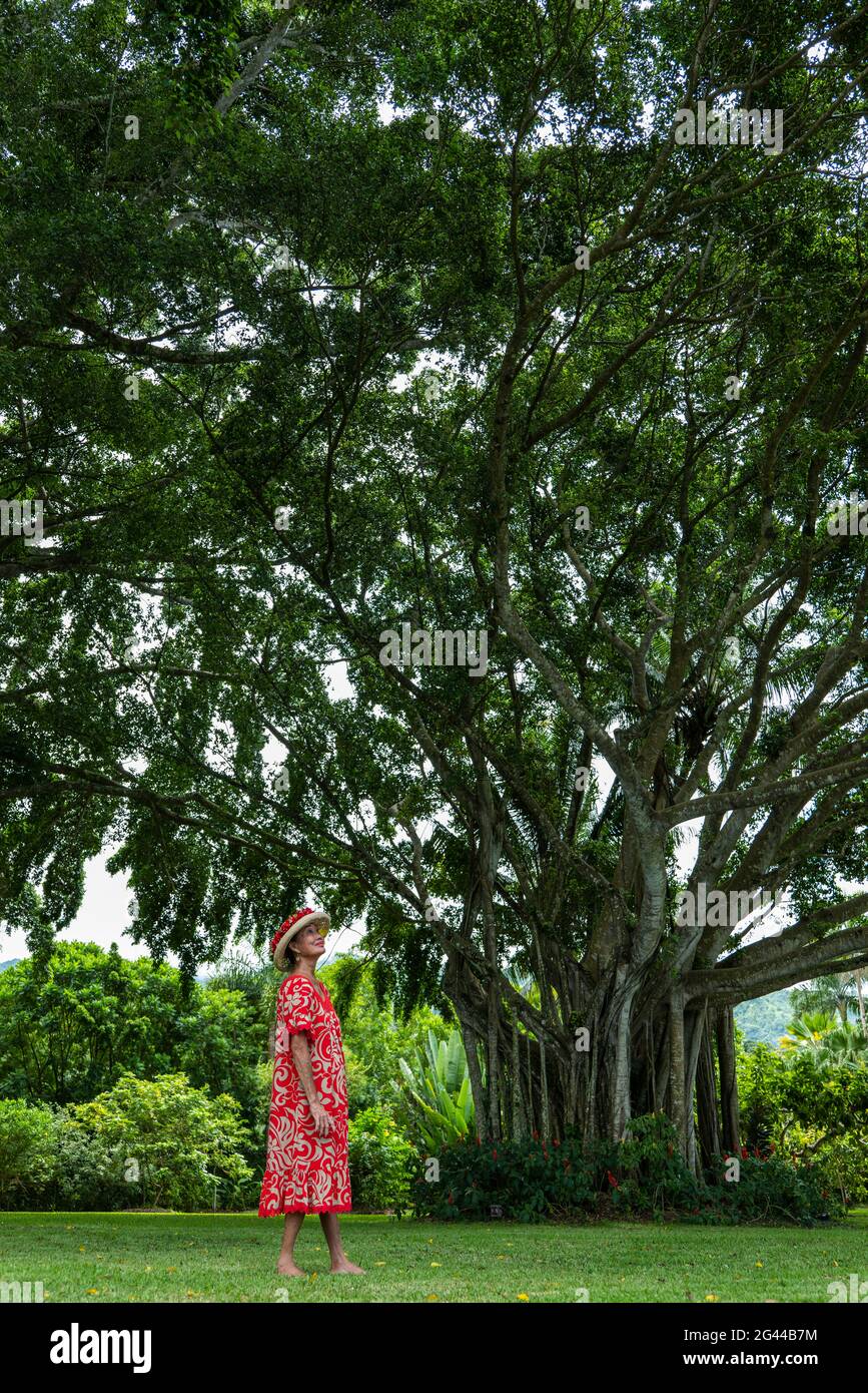 Digne femme tahitienne se dresse devant l'immense arbre banyan dans le jardin, Tahiti, les îles du vent, la Polynésie française, le Pacifique Sud Banque D'Images
