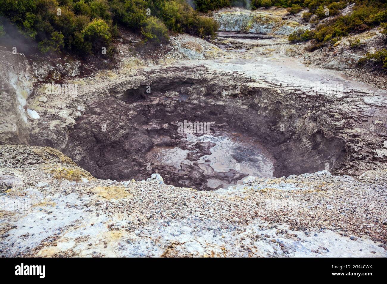 La zone géothermique de Rotorua Banque D'Images