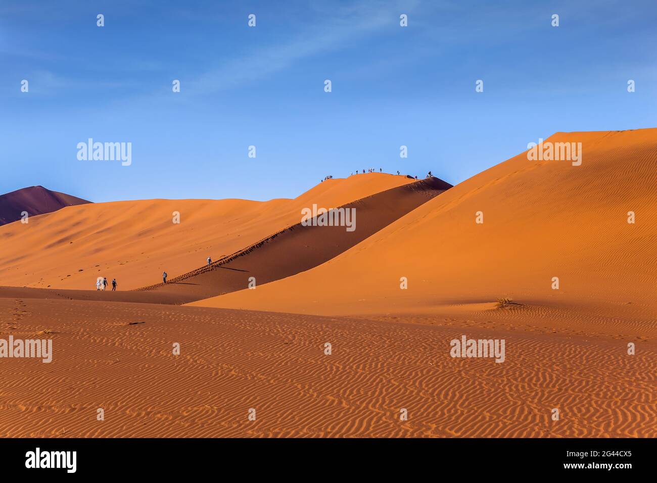 Des peintures grandioses de dunes de sable Banque D'Images
