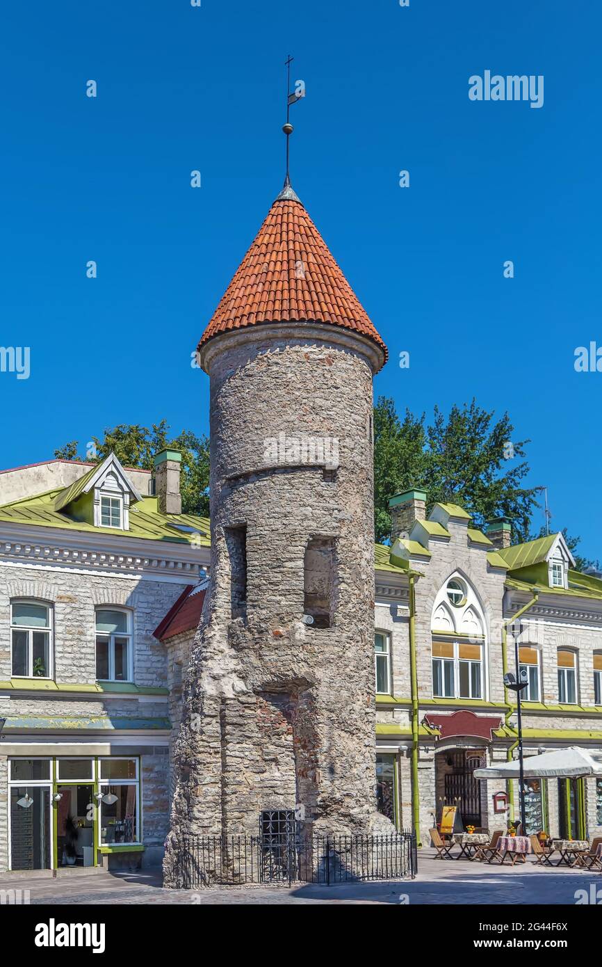 La porte Viru, Tallinn, Estonie Banque D'Images