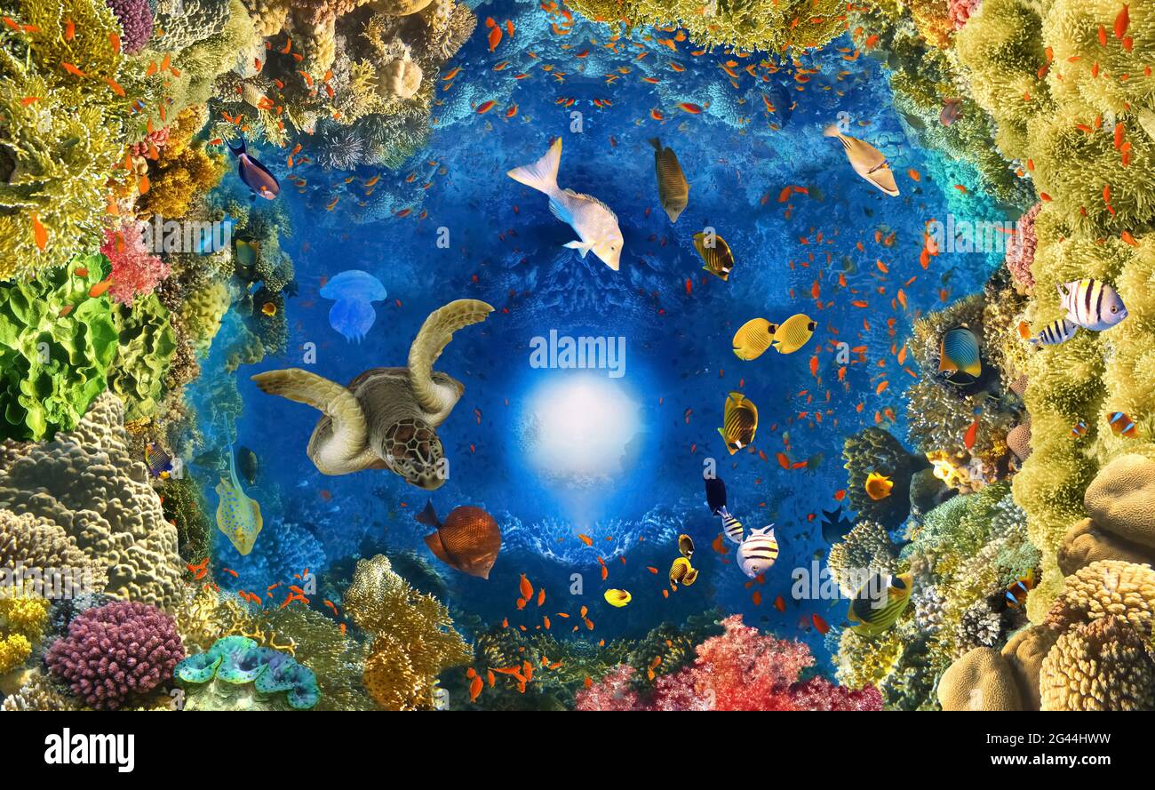 arrière-plan du paradis sous-marin - corail faune sauvage faune collage avec tortue de mer et fond de poisson coloré Banque D'Images