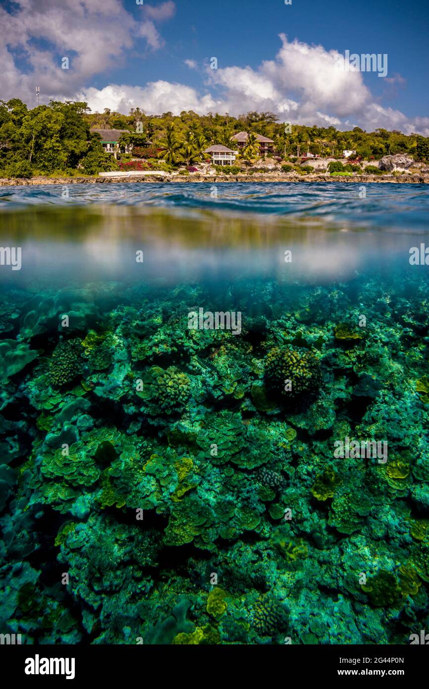 Sous l'eau au large de Tanna, Vanuatu, Pacifique Sud, Océanie Banque D'Images