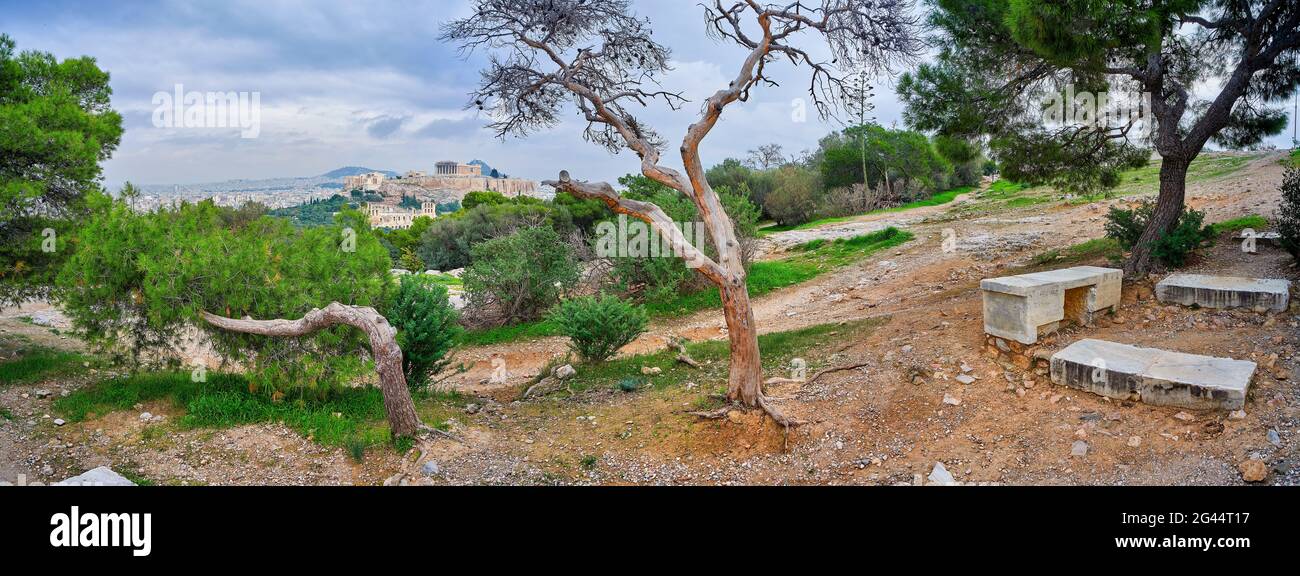 Paysage avec arbres torsadés à la colline de Filopappou, Athènes, Grèce Banque D'Images