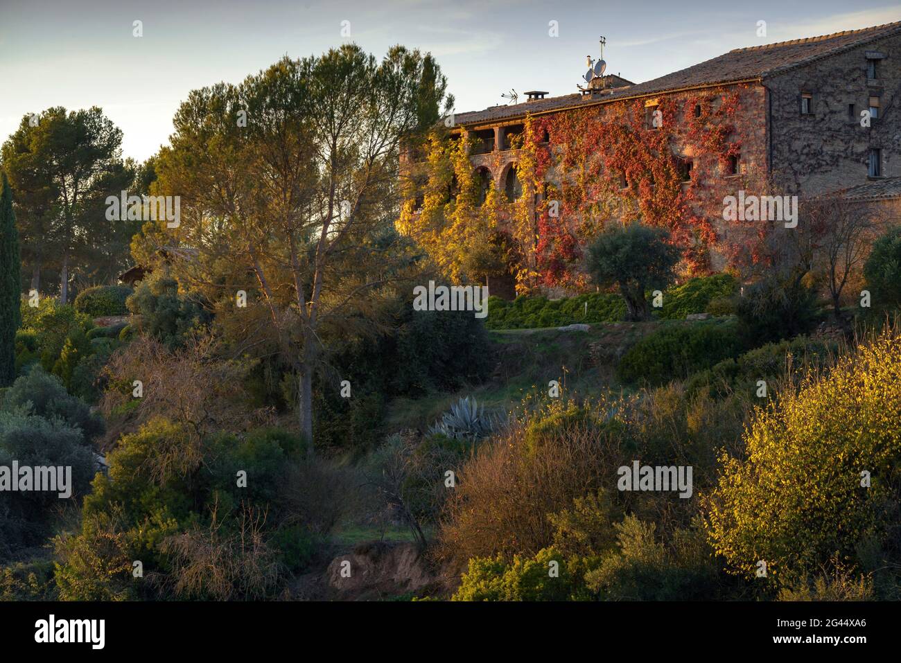 Coucher de soleil à la Garriga de Castelladral maison de campagne, un jour d'automne (Navàs, Barcelone, Catalogne, Espagne) ESP: Atardecer en la Garriga de Castelladral Banque D'Images