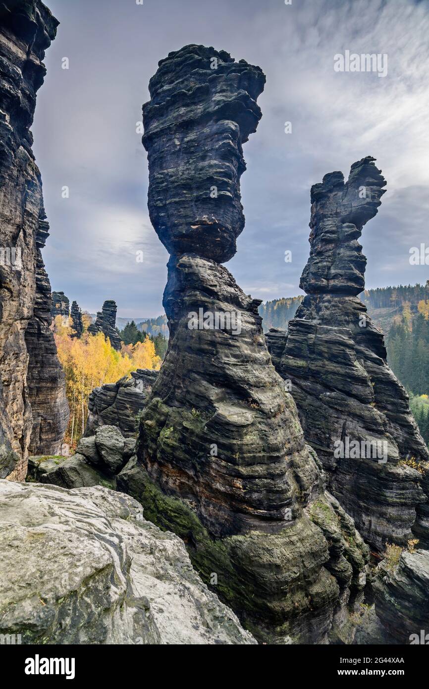 Colonne Hercules, Bielatal, Parc national de la Suisse saxonne, Suisse saxonne, grès d'Elbe, Saxe, Allemagne Banque D'Images
