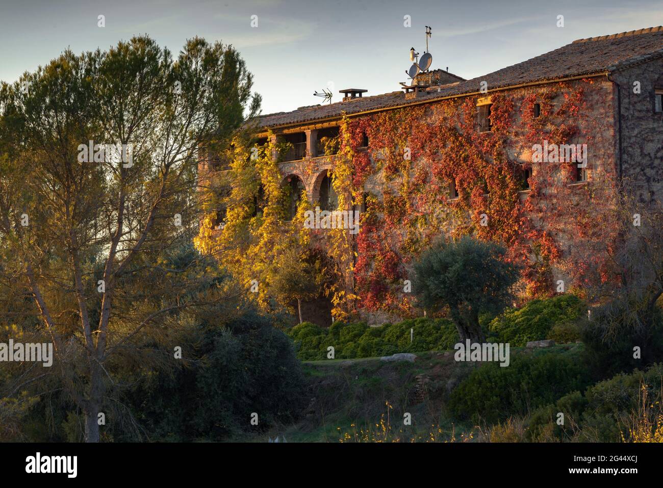 Coucher de soleil à la Garriga de Castelladral maison de campagne, un jour d'automne (Navàs, Barcelone, Catalogne, Espagne) ESP: Atardecer en la Garriga de Castelladral Banque D'Images