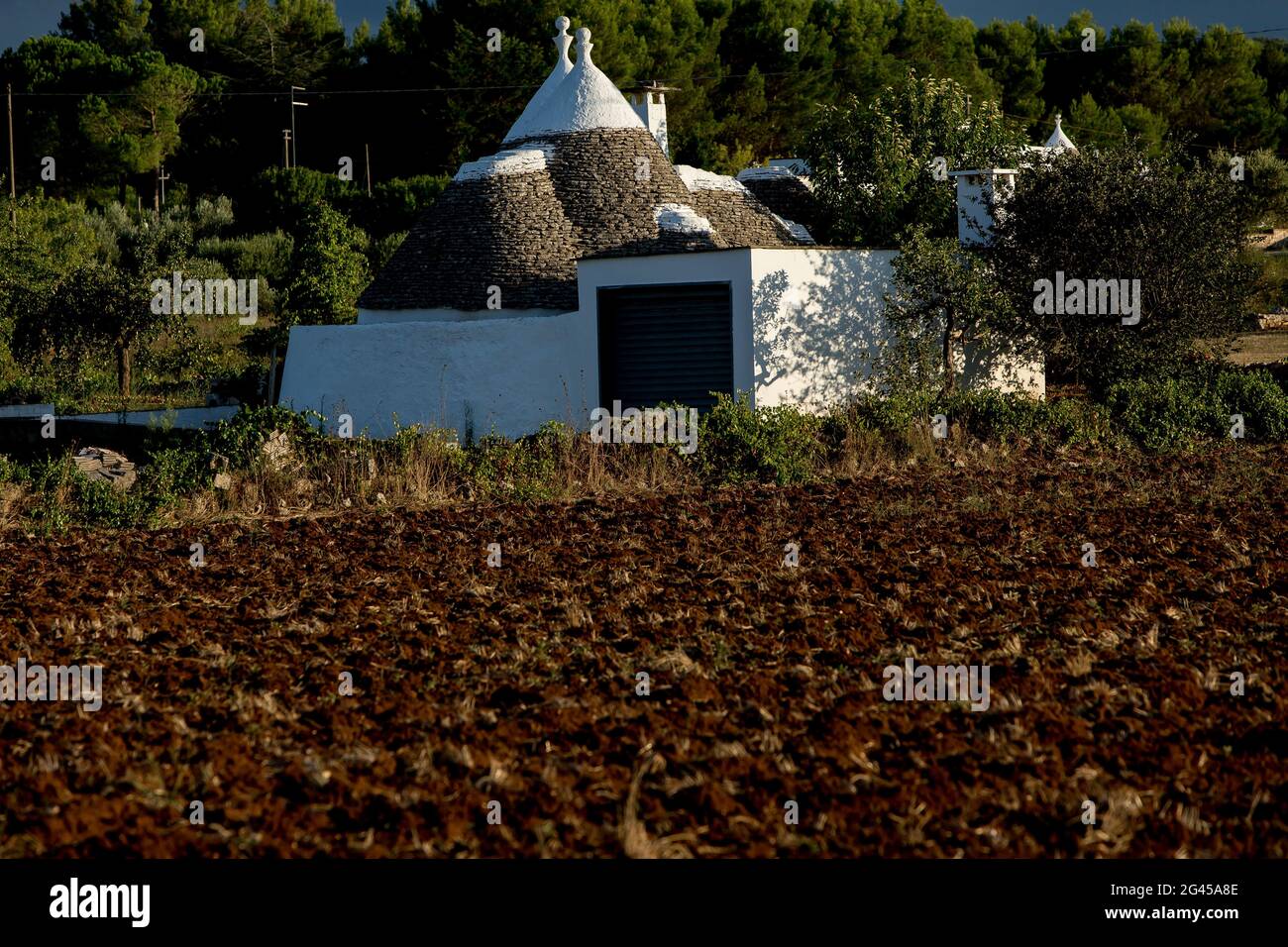 SUD DE L'ITALIE, RÉGION DES POUILLES. MARTINA FRANCA QUARTIER, MAISONS TRADITIONNELLES DE TRULLI Banque D'Images