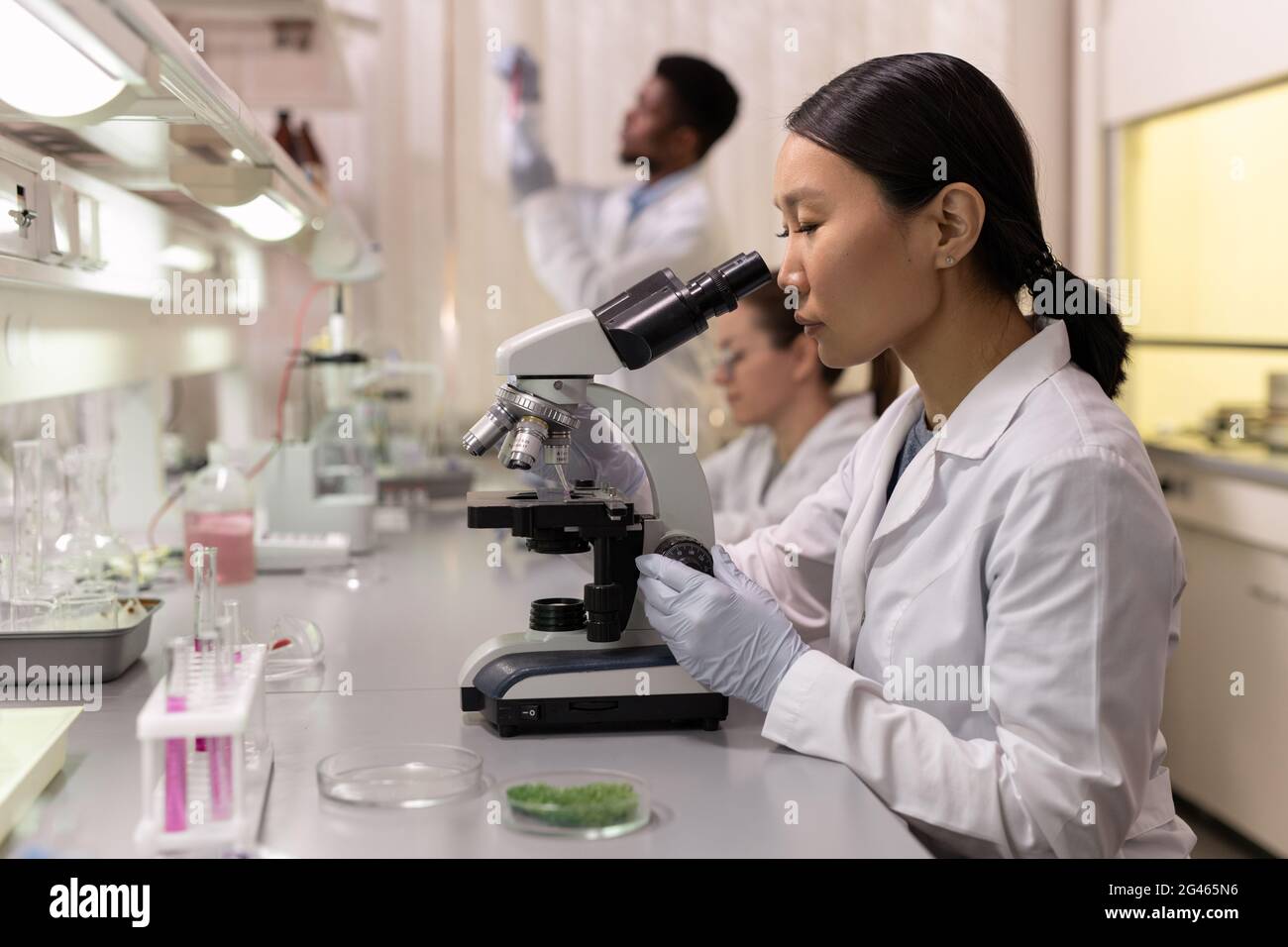 Jeune femme asiatique avec microscope travaillant en laboratoire Banque D'Images