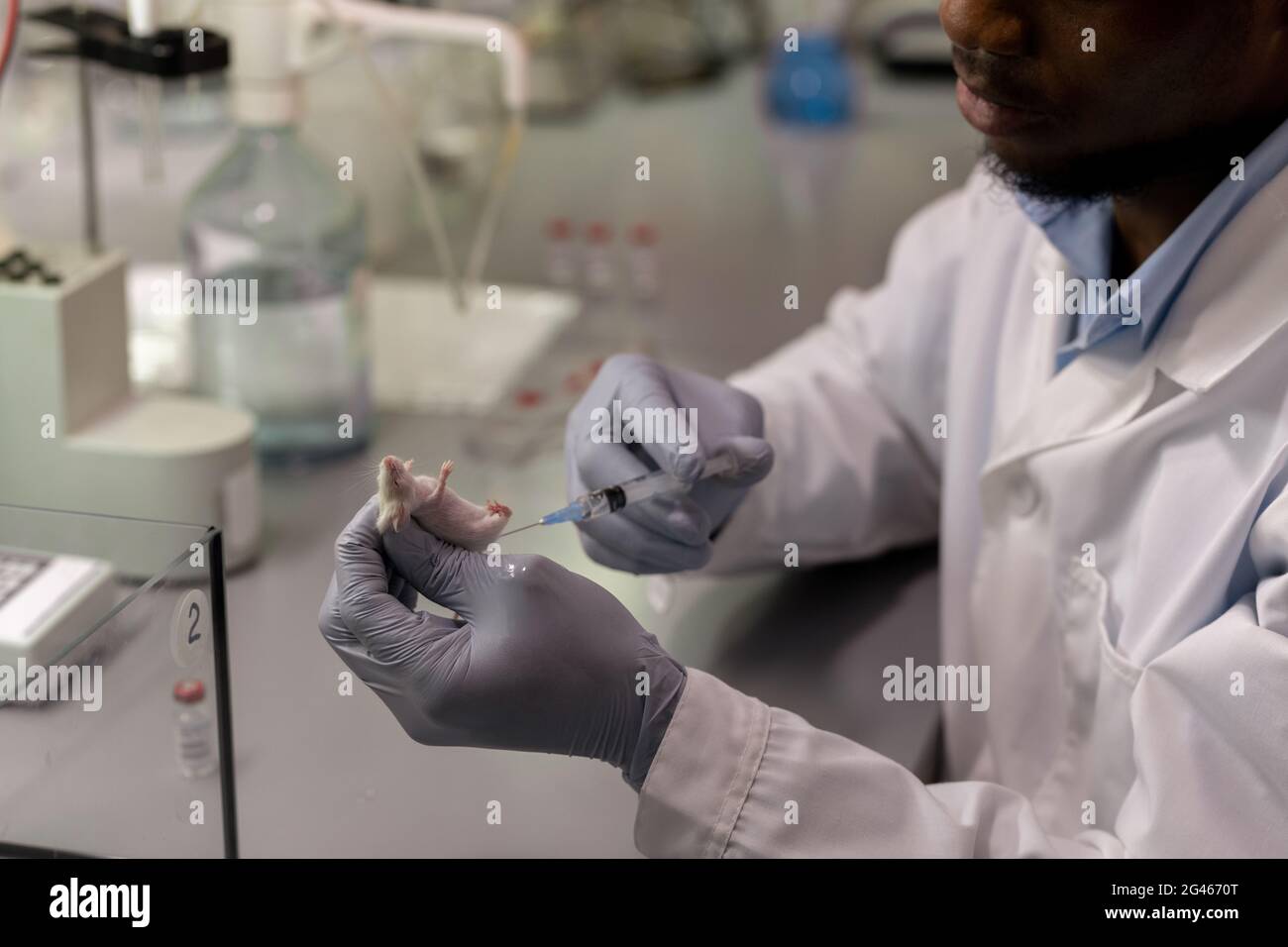 Un scientifique africain ganté teste un nouveau vaccin sur une souris blanche Banque D'Images