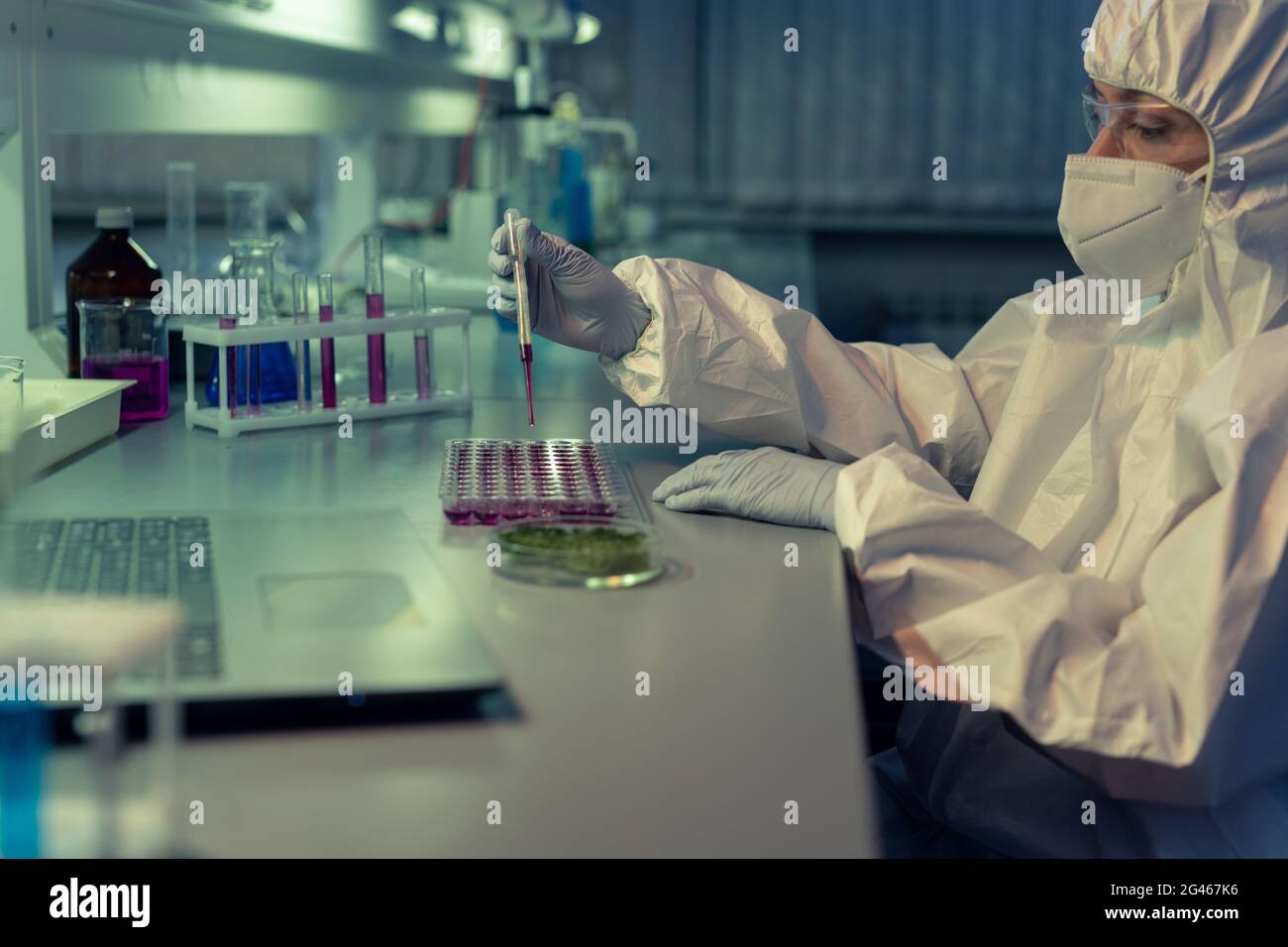 Scientifique dans des combinaisons, des gants, des lunettes et un respirateur faisant tomber le liquide pourpre dans l'un des petits récipients Banque D'Images