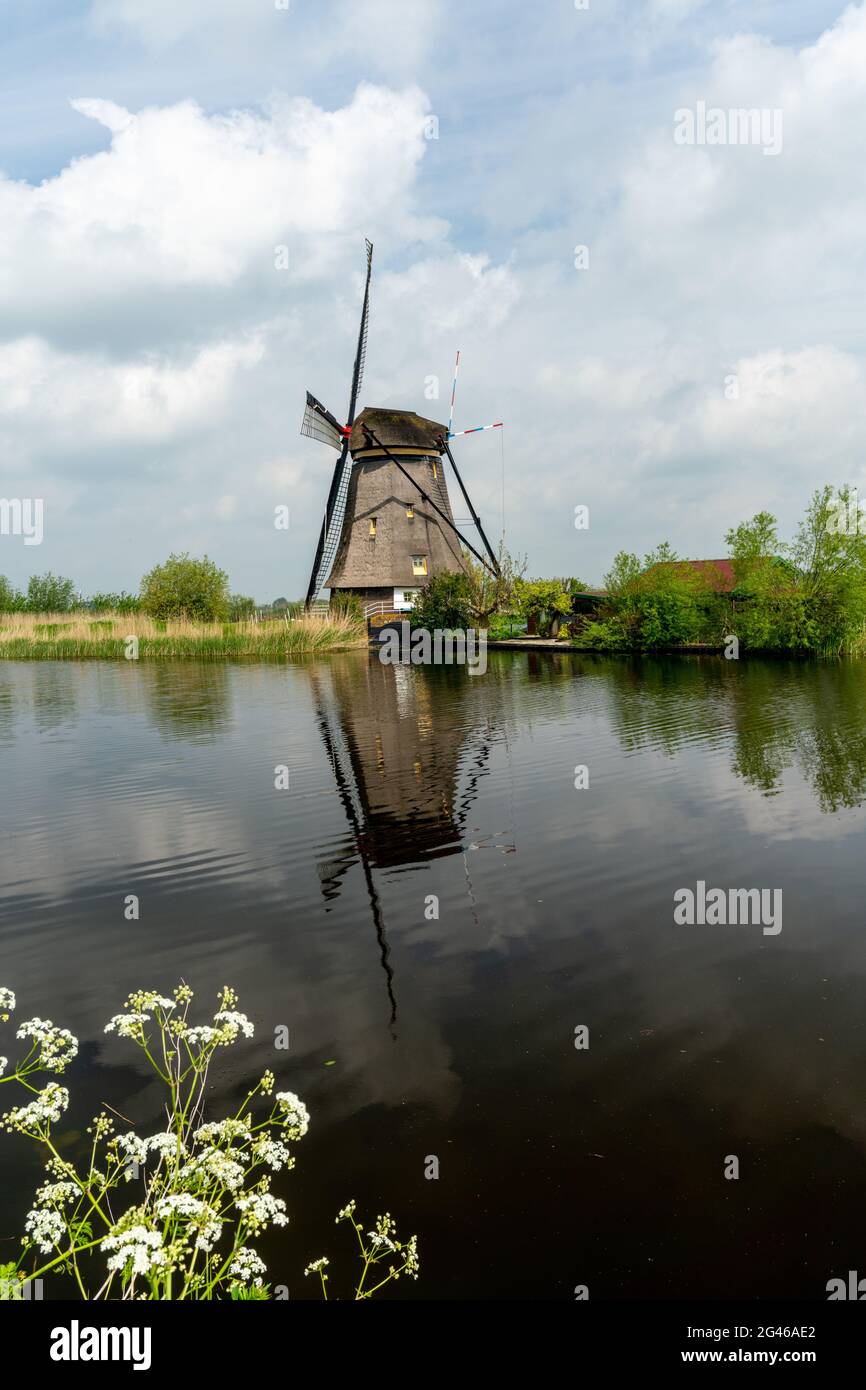 Vue verticale d'un moulin à vent historique datant de 18 ans à Kinderdijk En Hollande-Méridionale Banque D'Images