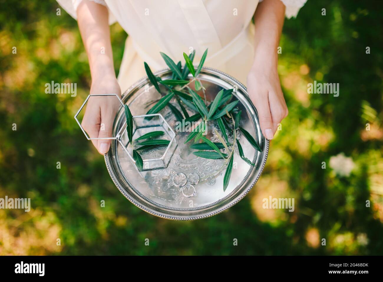 Anneaux de mariage sur un plateau argenté avec des branches d'olive dans leur main Banque D'Images
