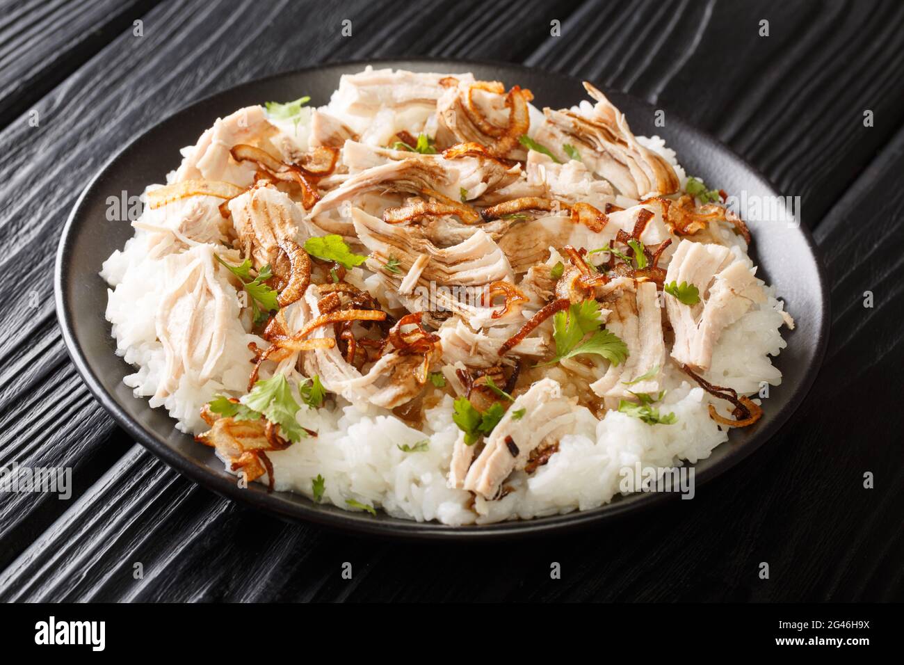 Dinde alimentaire de Taïwan avec riz, oignons frits et sauce épicée dans une assiette sur la table. Horizontale Banque D'Images