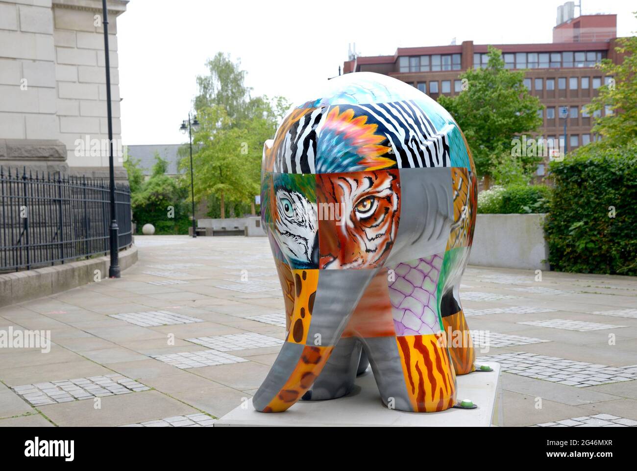 Maidstone, Kent, Royaume-Uni. 19 juin 2021. Un énorme troupeau de 81 Elmers colorés - basé sur le personnage du livre pour enfants de David McKee - a passé la nuit à Maidstone, dans le Kent, au début d'un défilé de 9 semaines en soutien au coeur de Kent Hospice. Les Elmers ont été conçus par des artistes connus et inconnus et seront mis aux enchères le 9 août pour recueillir des fonds pour l'Hospice. « Lone the Skin You're In » Credit: Phil Robinson/Alay Live News Banque D'Images