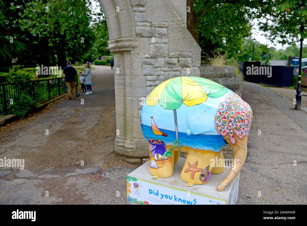 Maidstone, Kent, Royaume-Uni. 19 juin 2021. Un énorme troupeau de 81 Elmers colorés - basé sur le personnage du livre pour enfants de David McKee - a passé la nuit à Maidstone, dans le Kent, au début d'un défilé de 9 semaines en soutien au coeur de Kent Hospice. Les Elmers ont été conçus par des artistes connus et inconnus et seront mis aux enchères le 9 août pour recueillir des fonds pour l'Hospice. "À côté de la mer" Credit: Phil Robinson/Alamy Live News Banque D'Images