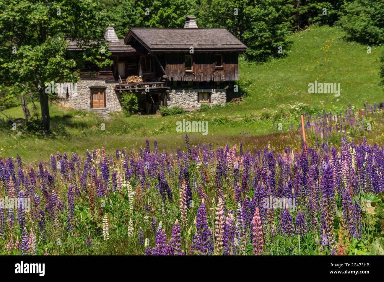 Trelechamp Banque D'Images
