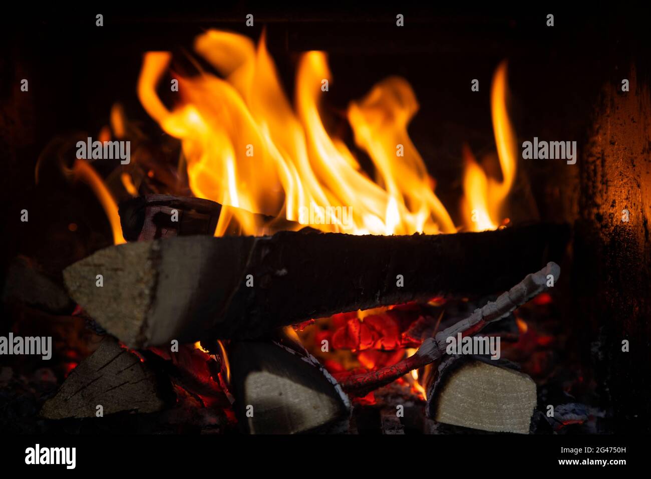 Gros plan de flammes et de bois de chauffage dans une cheminée. Banque D'Images