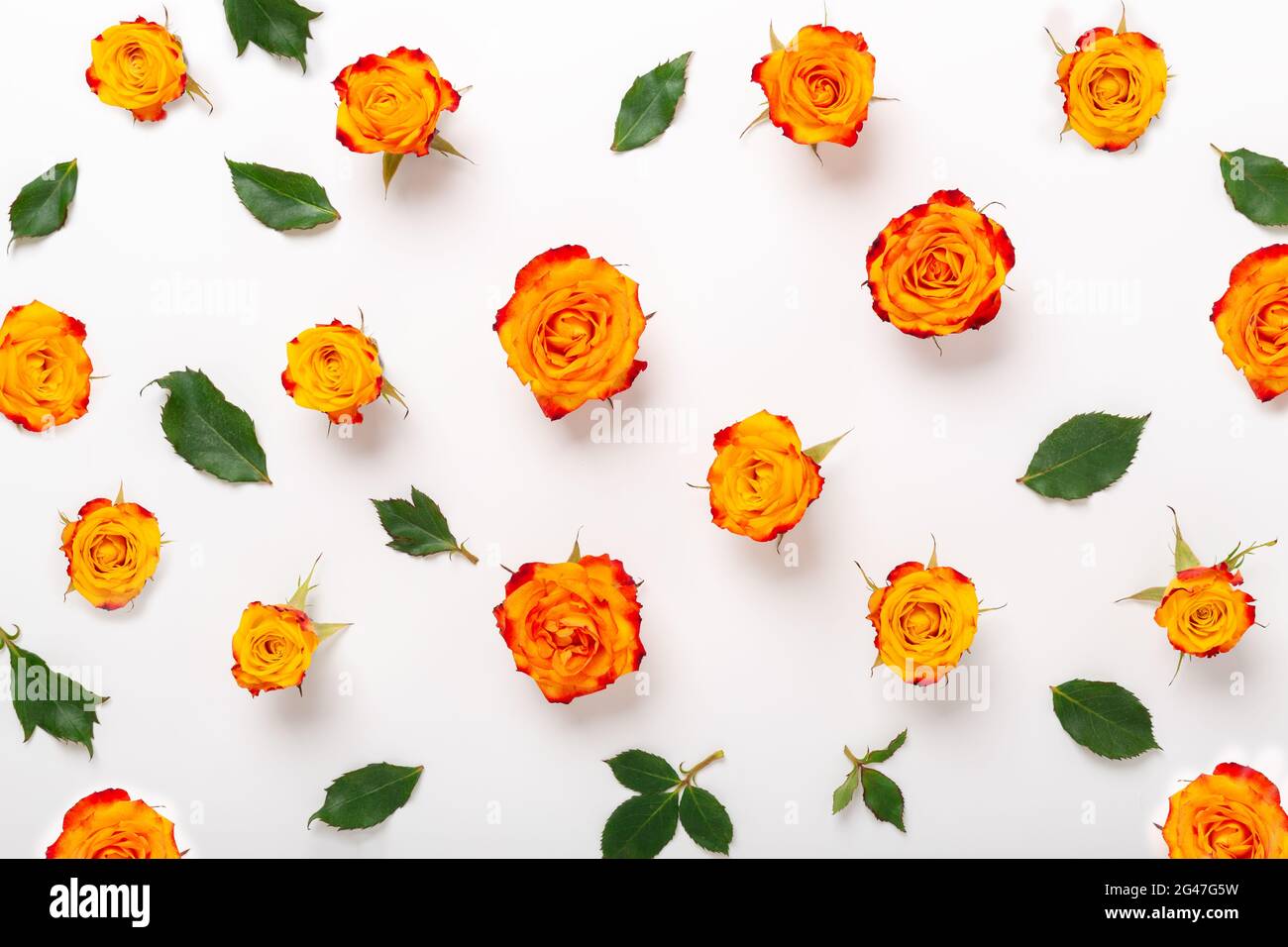 Motif composé de fleurs roses et de feuilles vertes sur fond blanc. Fête des mères, concept de fête des femmes. Flat Lay, vue de dessus - image Banque D'Images