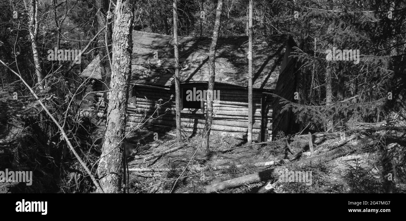 Cabane en rondins abandonnée au milieu de la nature sauvage Banque D'Images