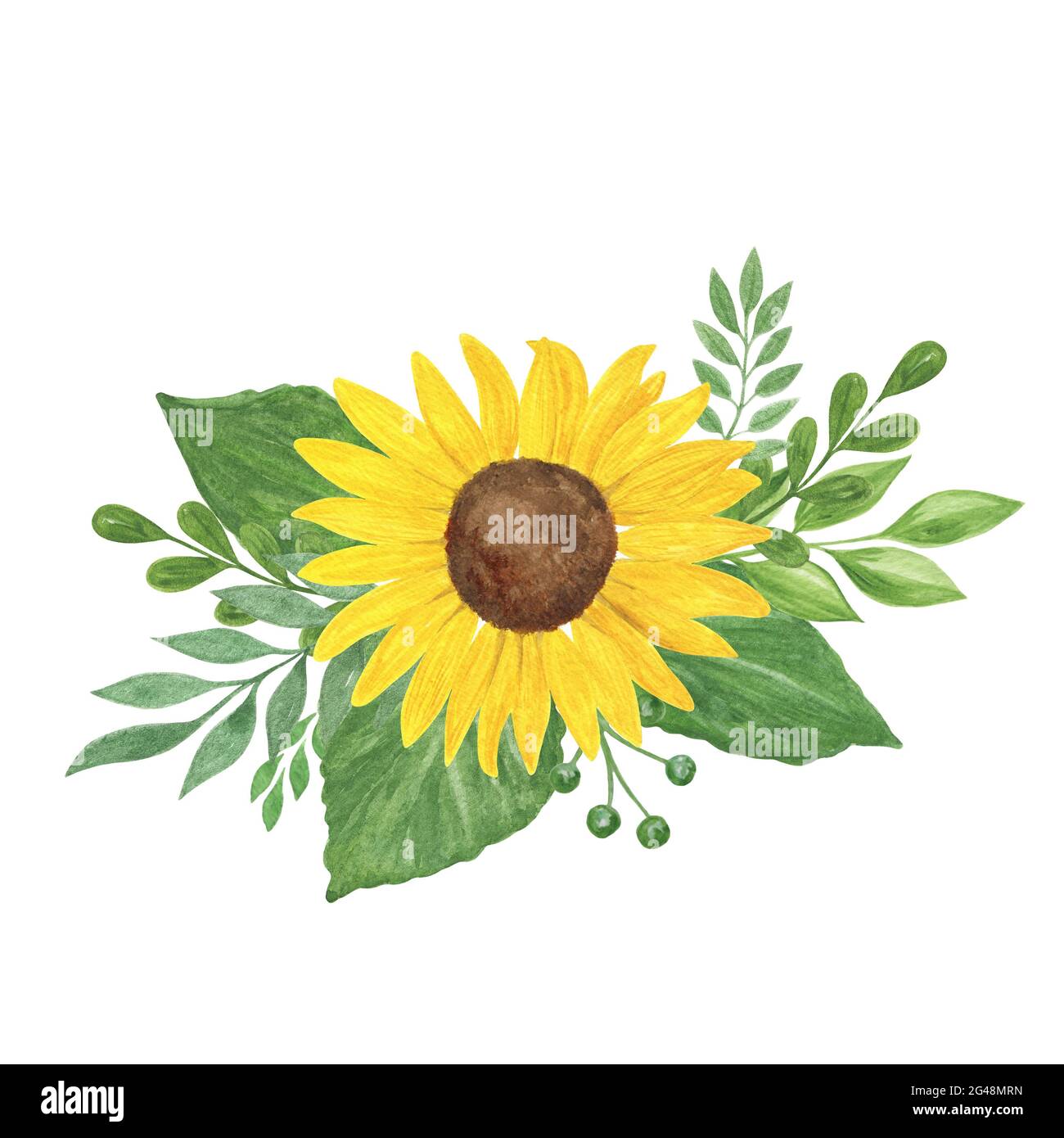 Composition florale, tournesol, illustration de l'aquarelle des feuilles, bouquet d'été de plantes agricoles de terrain, fleur, branches, pour carte de voeux, boho deco Banque D'Images