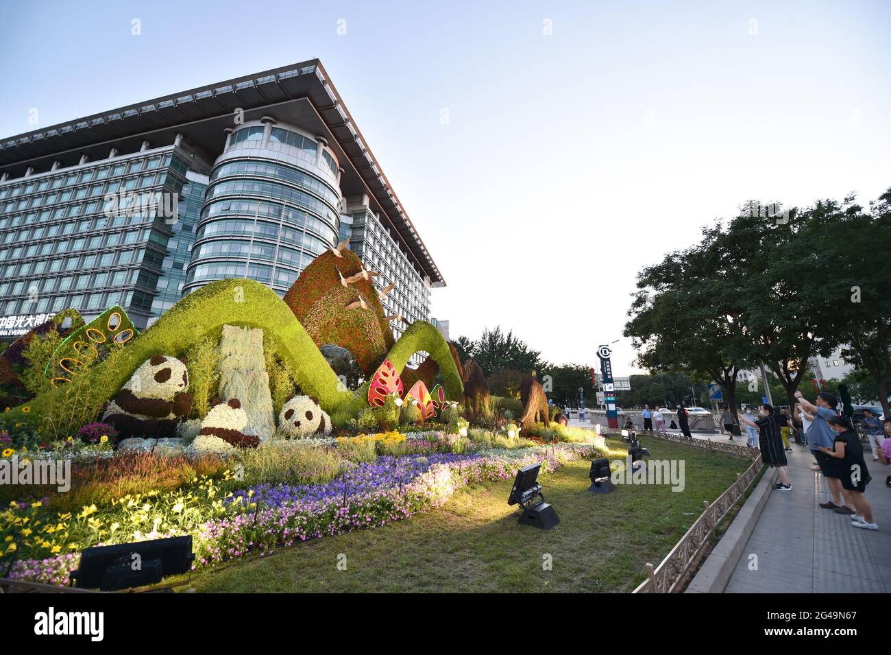 Pékin, Chine. 19 juin 2021. Les gens prennent des photos de décorations florales établies le long de l'avenue Chang'an à Beijing, capitale de la Chine, le 19 juin 2021. Credit: Chen Zhonghao/Xinhua/Alay Live News Banque D'Images