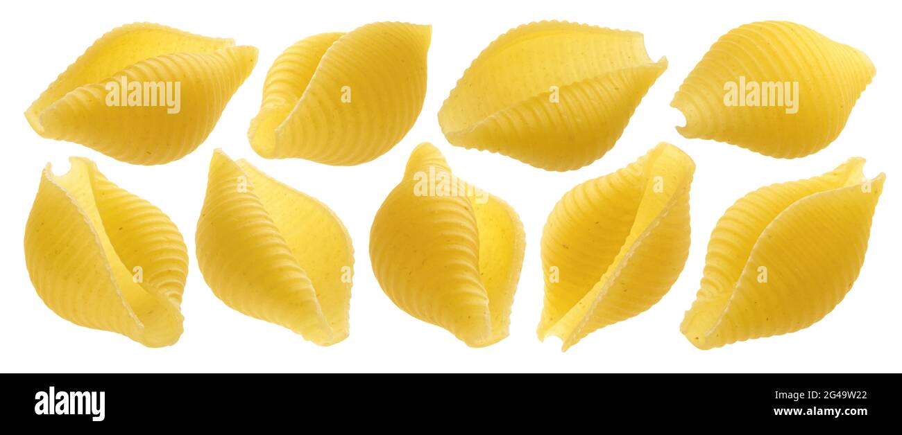 Porte de la pointe Conchiglie. Pâtes à coque brutes isolées sur fond blanc Banque D'Images