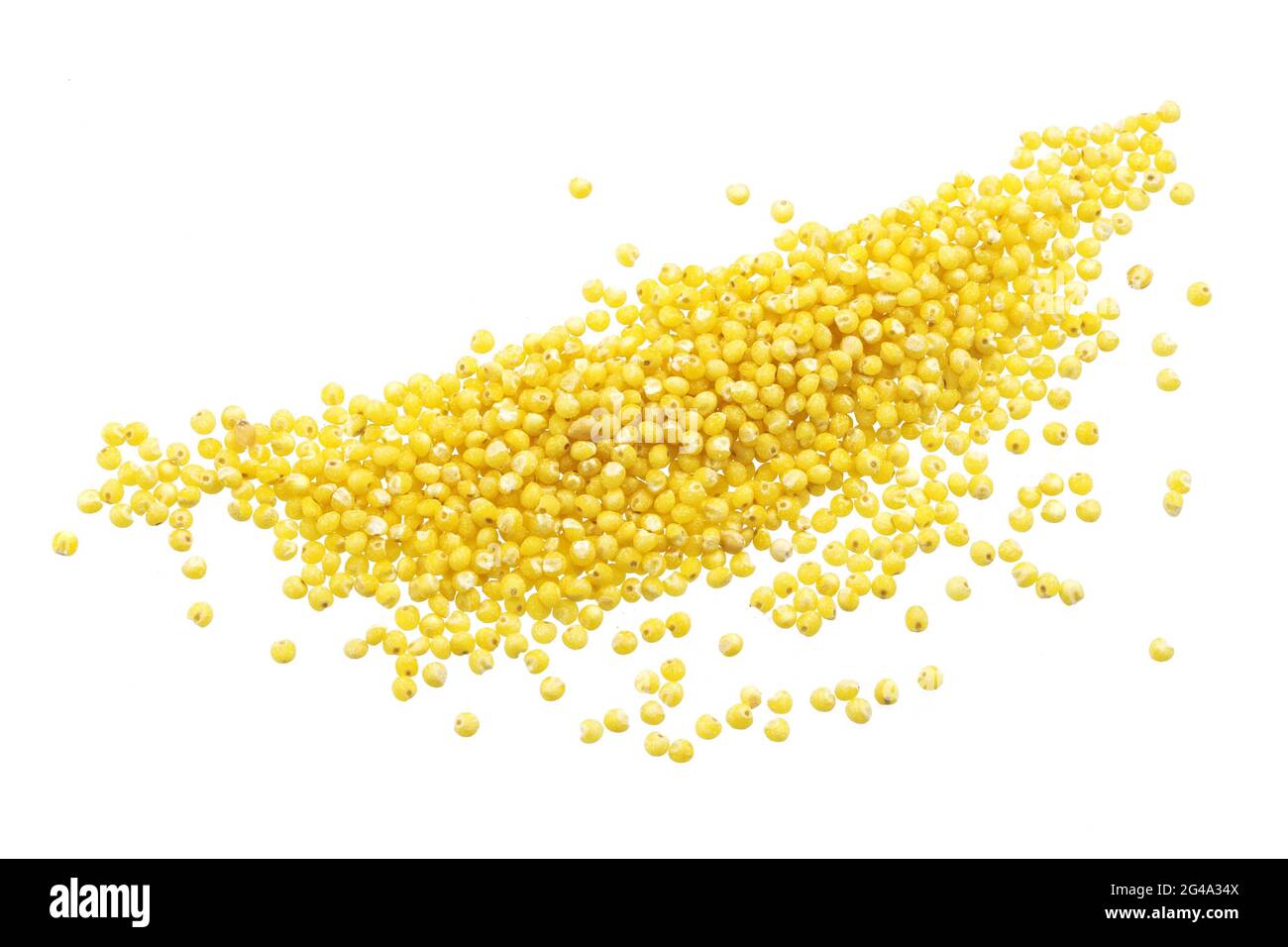 Graines de millet isolé sur fond blanc Banque D'Images
