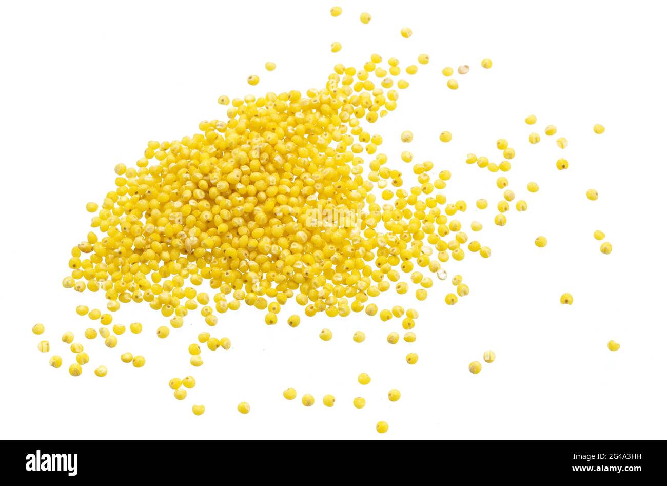 Tas de graines de millet isolé sur fond blanc Banque D'Images