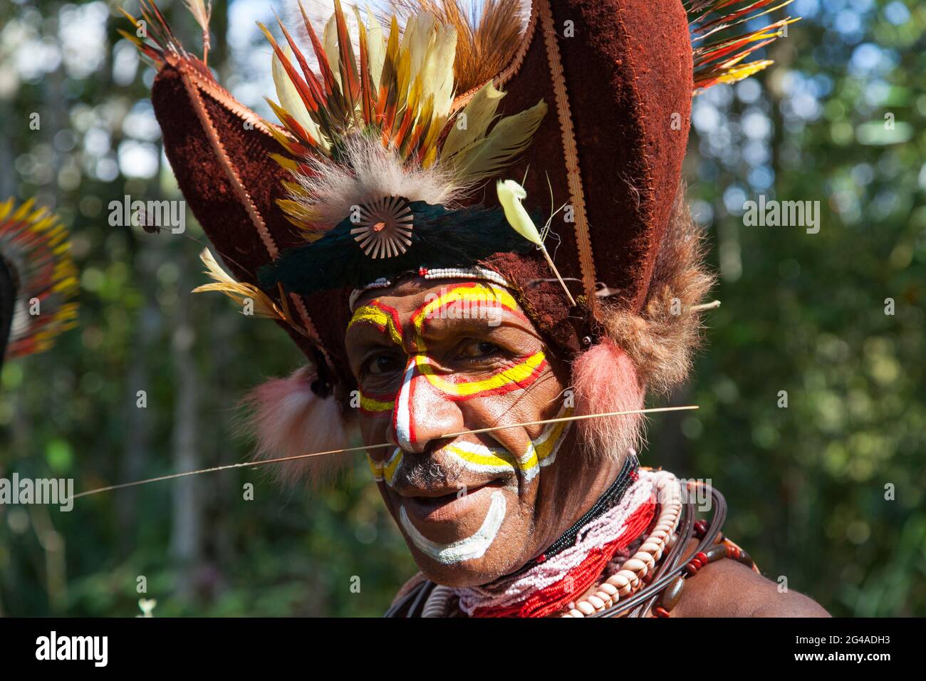 Huli wigman du village de Hedemari près de Tarii dans la province de HeLa en PNG. Banque D'Images